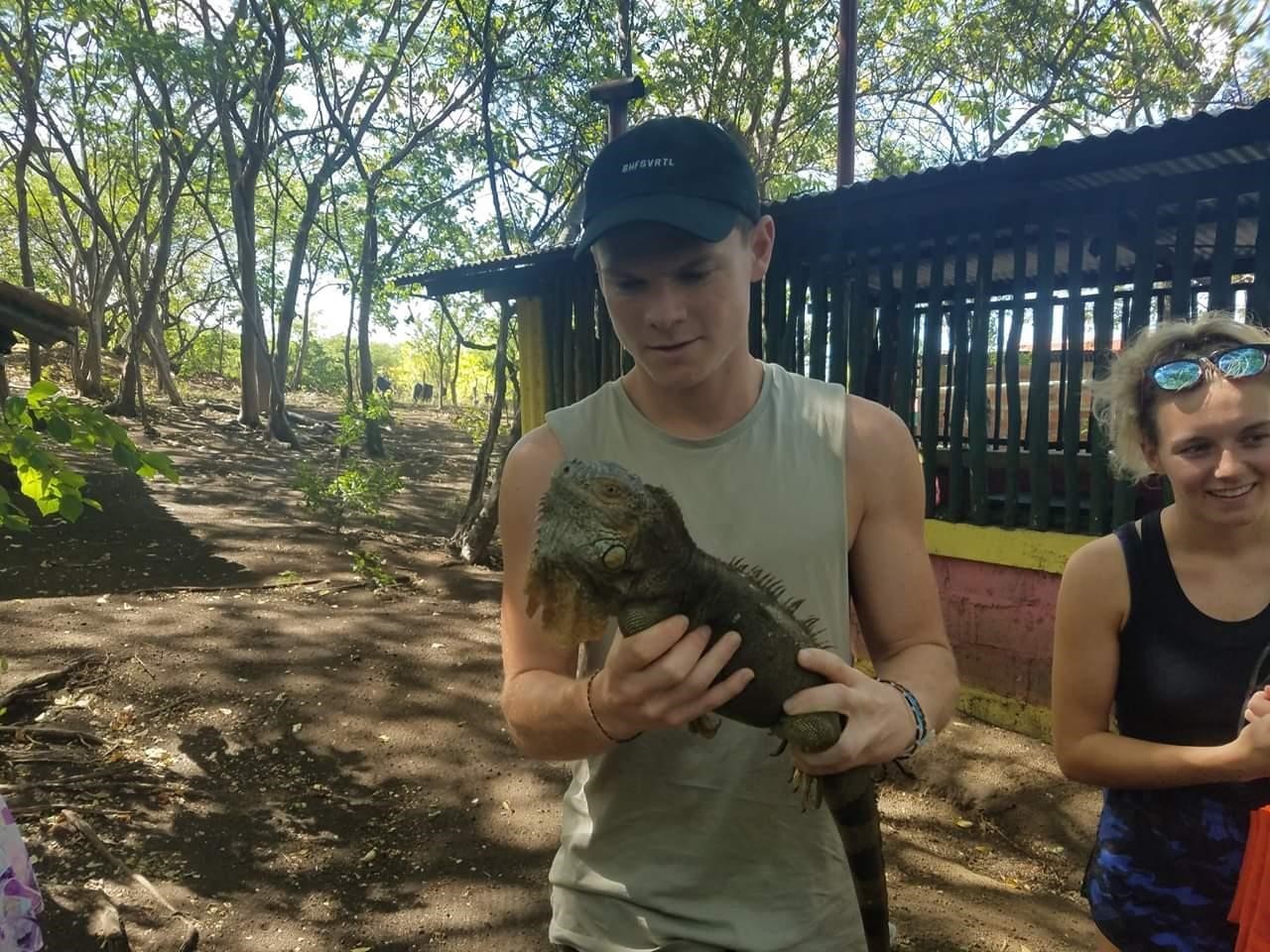 iguana1